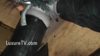 Older woman in leather outfit gets pounded by a well-endowed stallion