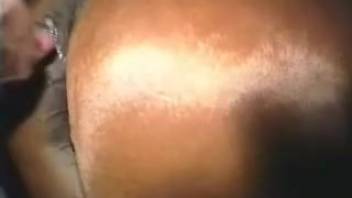 Guy bangs a brown mare from the back and climaxes