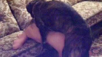 Rear entry pounding for an attractive aroused slut
