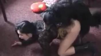Rear entry pounding for a howling dark-haired vixen