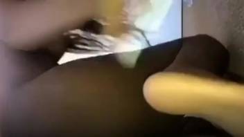 Pooch with a pulsating dick munching on a steamy ebony snatch