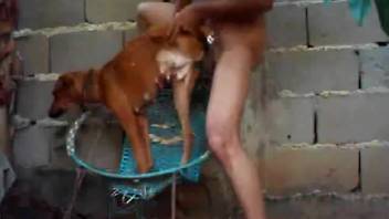 Well-endowed guy pounding a dark-skinned woman outside