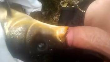 Horny guy fucking a fish in an exciting zoo porn vid