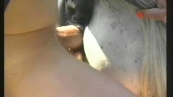 Horse's cunt withstanding intense hand penetration