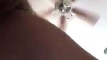 Sly canine attempting to woo a perverted Latin hottie