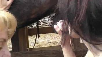 Blonde bombshell and fiery redhead engaging with this stallion's manhood