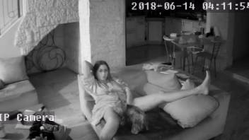 Hidden camera video centered on animal-human oral sex on a woman