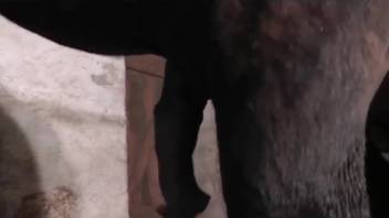 Thick-rumped bestiality enthusiast receives a horse's penis
