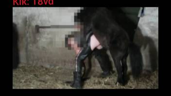 Zoophile wearing leather trousers gets screwed by a perverted pony