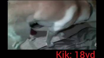 Tattooed twat chick receives oral from a canine in a bondage flick