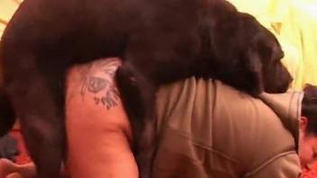 Inked and beefy bitch gets boned by her doggo