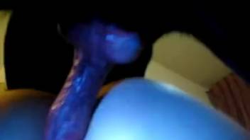 Swollen vulva babe receives internal cumshot from a perverted monster