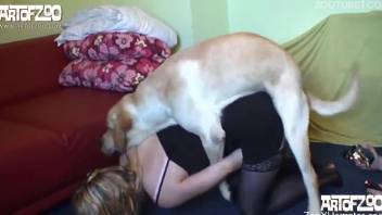 Woman feels dog's huge dick right into her fat vagina
