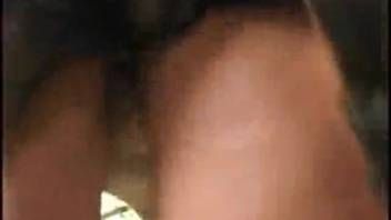 Bronzed babe drops to hands and knees for pounding by a canine dick