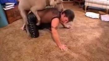 Fat-ass brunette gets banged by a dog on all fours