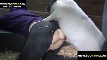 Intense butt pounding with a babe and her hog