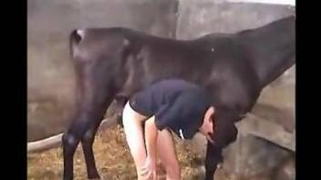 Dude develops a taste for stallion's hard cock