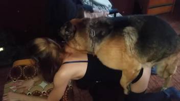 Blonde fucked by a dog with her pants pulled down