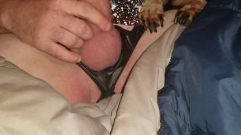 Naughty femboy has his cock tongued by a perverted pooch
