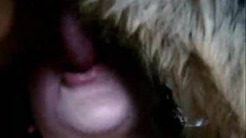 Busty lady handles massive cock in a whorish style on webcam