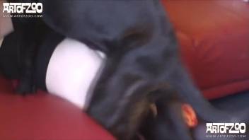 Housewife in stockings screws a perverted monster
