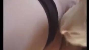 Shaved snatch animal lover being tongued by a perverted canine
