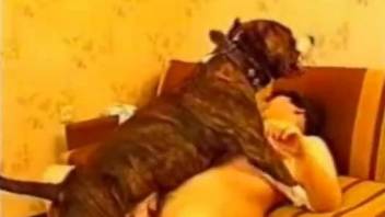Woman filmed when enduring her dog in a series of severe zoophilia