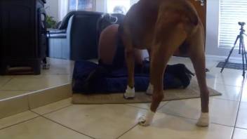 Tall vixen with a smooth pussy gets pounded savagely