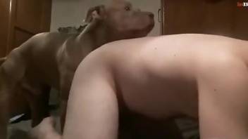 Beefy dude gets his asshole fucked by a sexy dog