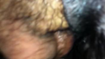 Intense sex scene with a submissive pet