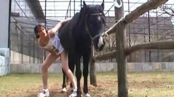 Black horse destroying brunette's tight holes on cam