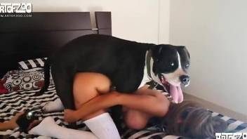 Two babes united by their lust for dog cocks