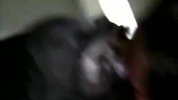 Aroused chick enjoys the cozy sensation of dick in her mouth