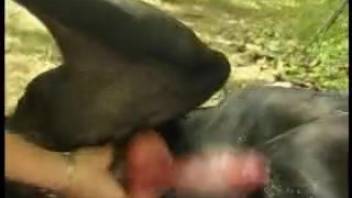 Pair of gorgeous chicks blowing a dog's dick outside