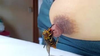 Aroused lady enjoys the insect on her stiff nipple