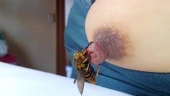Curvy lady adores the thrill that this bee delivers