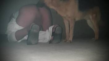 Homosexual butt sex clip featuring a guy and his perverted pup