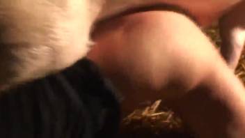 Grandma experiences beast's dick in her snatch for the very first time