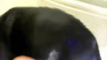 Blonde bombshell gets on hands and knees to screw a canine