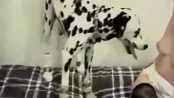 Inexperienced lady acts wild with the canine in twisted webcam footage