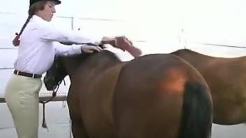 Juicy horsewoman getting fucked by a stallion