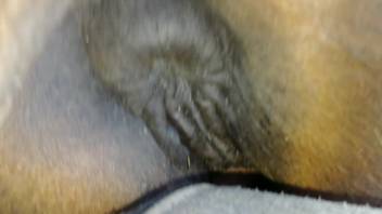 Guy stuffs his stiff dick deep into this babe's soaked snatch