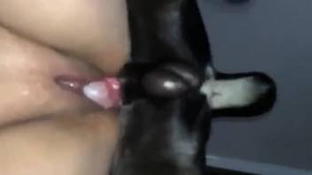 Shaved pussy hottie being roughly pounded by a pooch