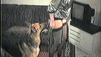 Nude women penetrated by a horse in a filthy way