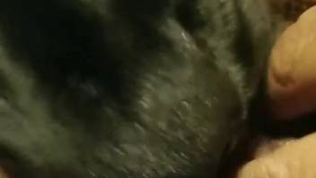 Intimate zoophilia clip featuring an extremely alluring creature