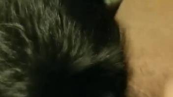 Guy's intense banging encounter with a super hot ebony beast