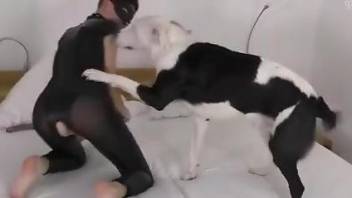 Masked woman sucks her man and the dog in excellent scenes