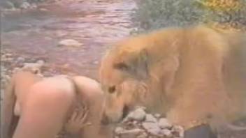 Bouncy-breasted dark-haired woman is screwed by a canine and shares a vibrator