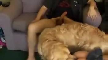 Trio sex clip featuring a curvy-ass novice girl 18+