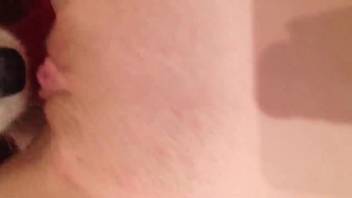 Canine tongues lady's vagina while she masturbates on webcam